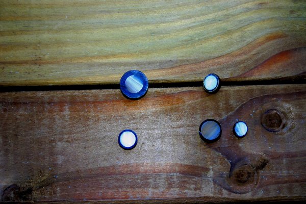 Pearls split in half to demonstrate thickness of black layers over mother of pearl seeds